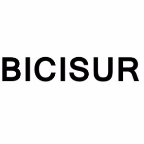 BICISUR Logo