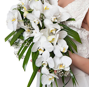 Ramo nupcial de orquídeas blancas